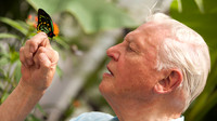 Sir David Attenborough