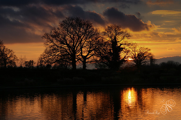 RHS Wisley