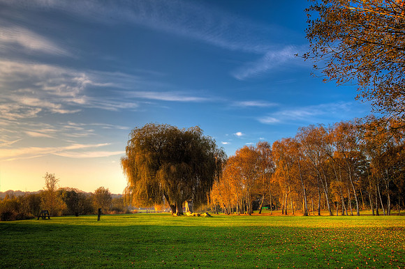 Autumn colours