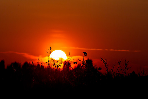 Sunset at Harefield
